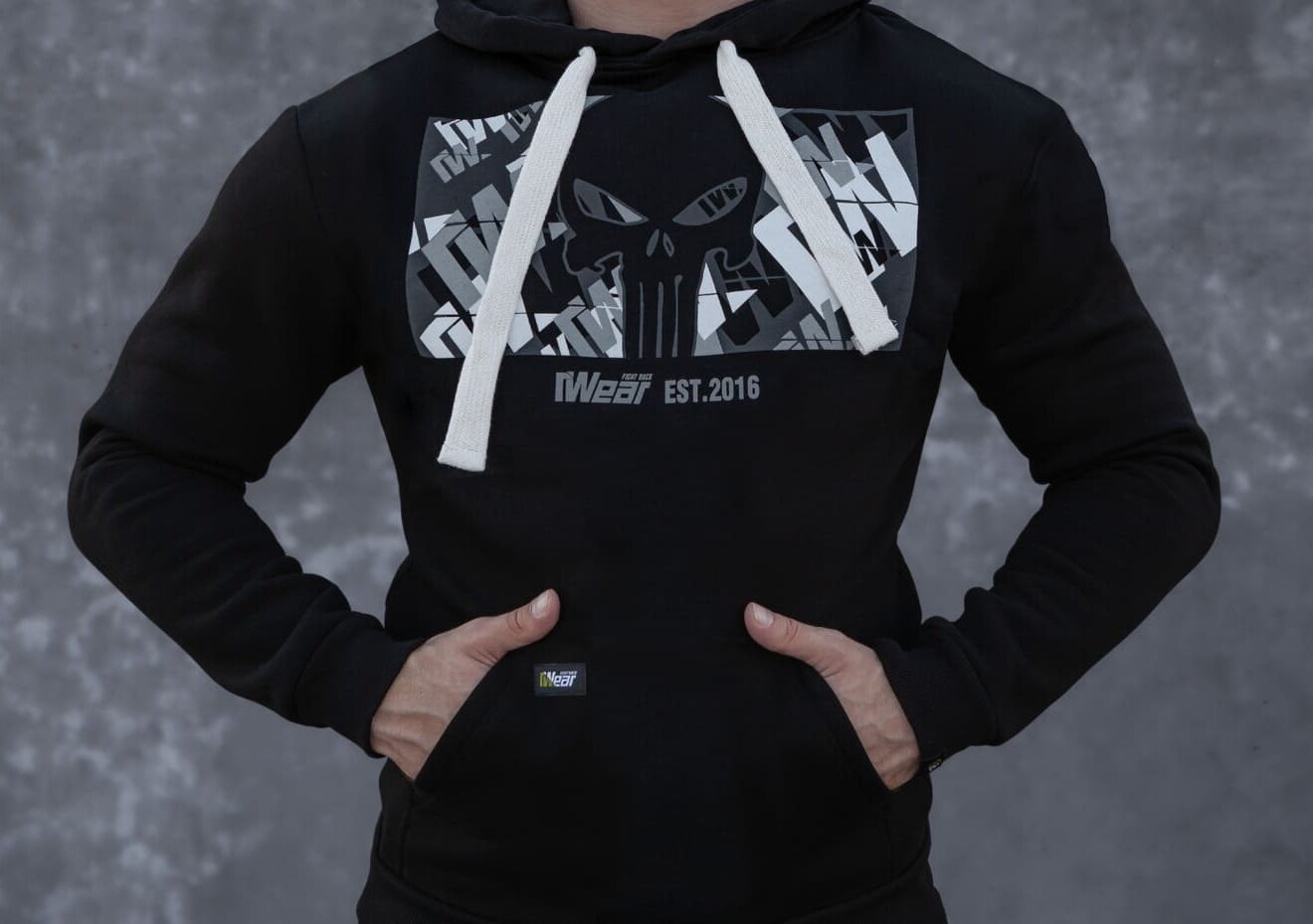 Худі Панішер