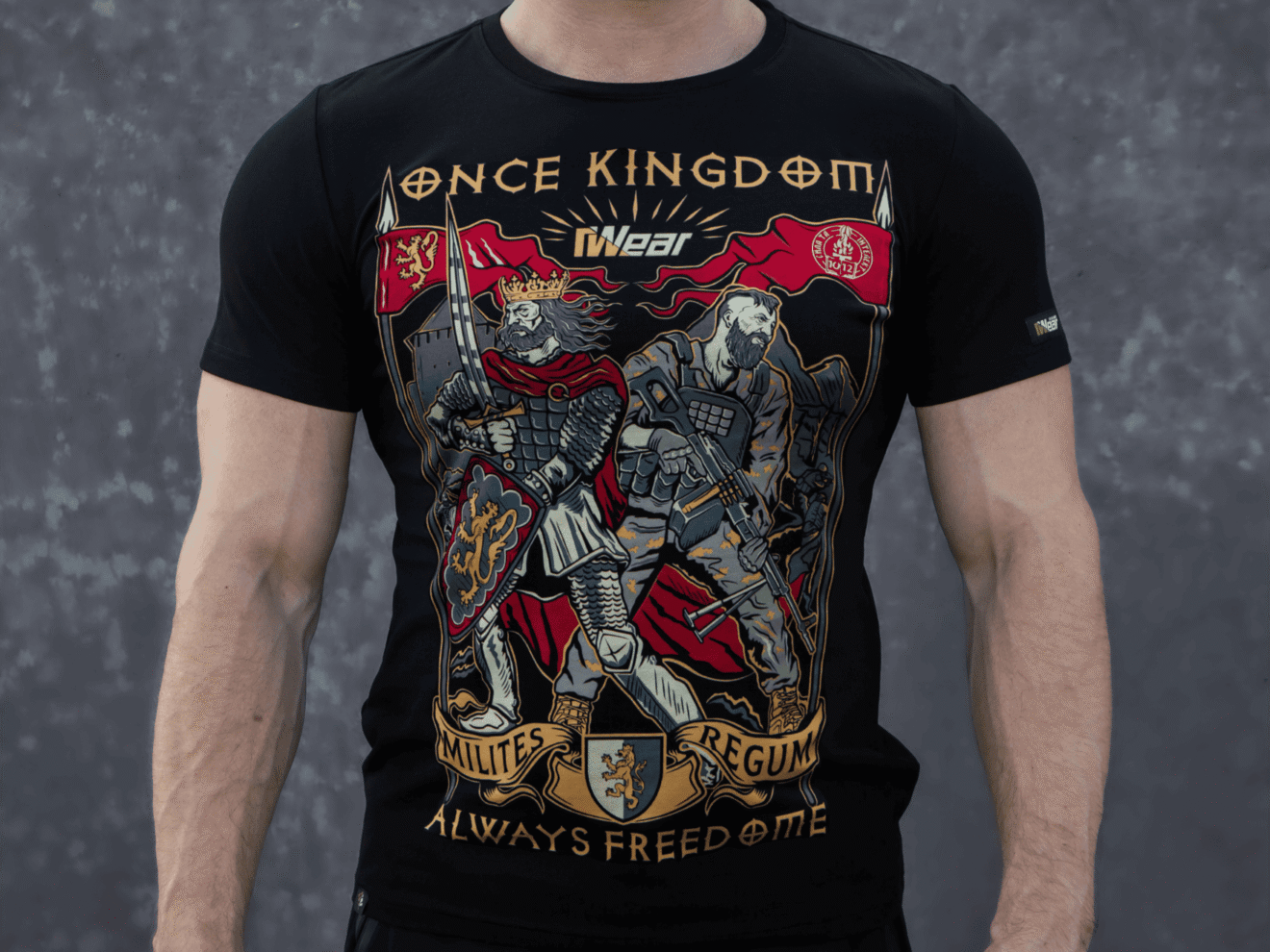 Футболка Воїни короля